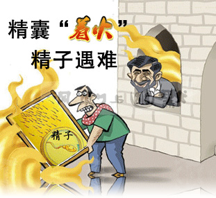 男性为什么会患上精囊炎