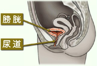 引起男性膀胱炎原因会有哪些