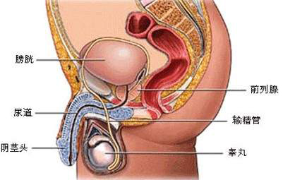 预防男科检查囊肿需注意哪些